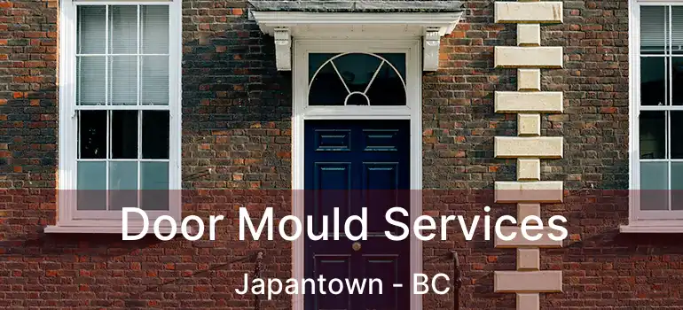  Door Mould Services Japantown - BC