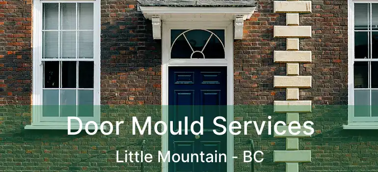  Door Mould Services Little Mountain - BC