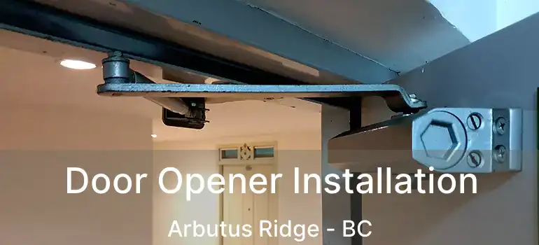  Door Opener Installation Arbutus Ridge - BC