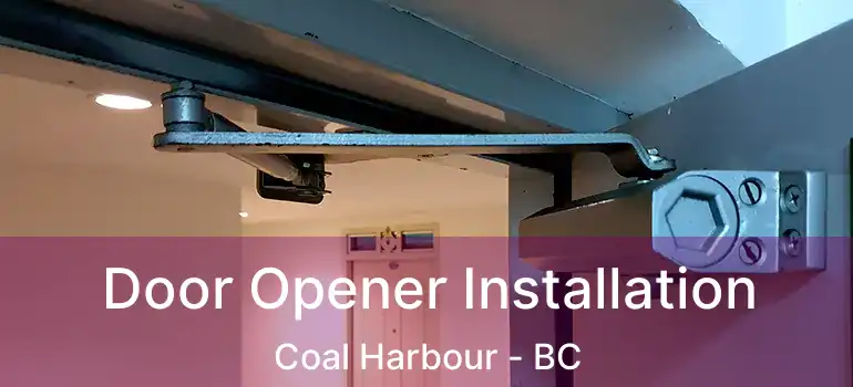  Door Opener Installation Coal Harbour - BC
