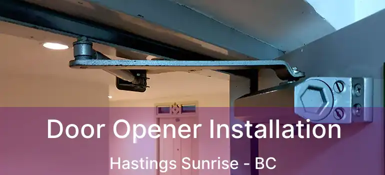  Door Opener Installation Hastings Sunrise - BC