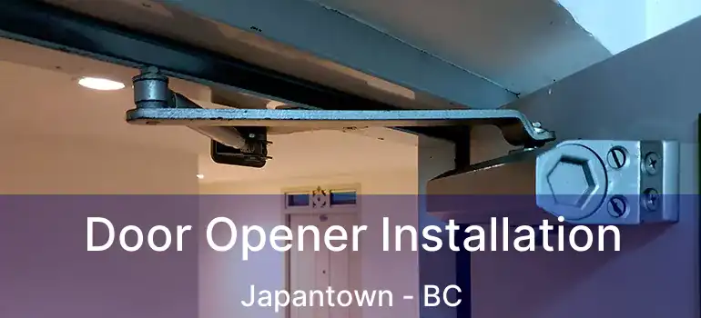  Door Opener Installation Japantown - BC