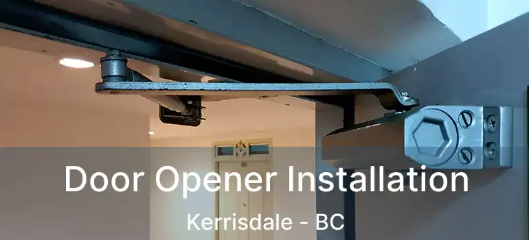  Door Opener Installation Kerrisdale - BC