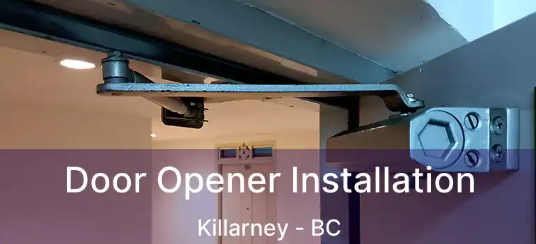  Door Opener Installation Killarney - BC