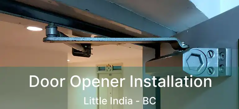  Door Opener Installation Little India - BC