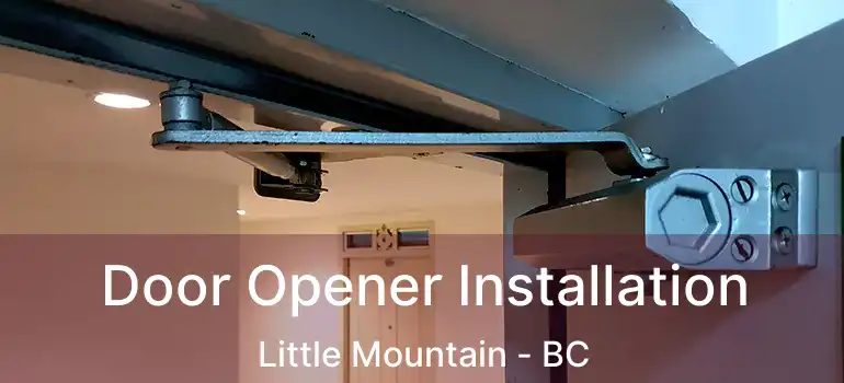  Door Opener Installation Little Mountain - BC