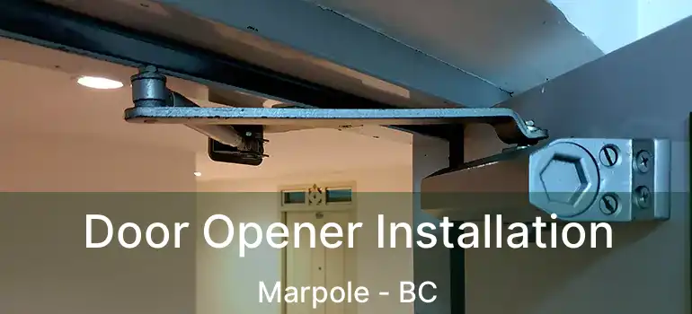  Door Opener Installation Marpole - BC