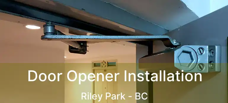  Door Opener Installation Riley Park - BC
