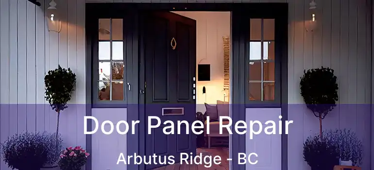  Door Panel Repair Arbutus Ridge - BC