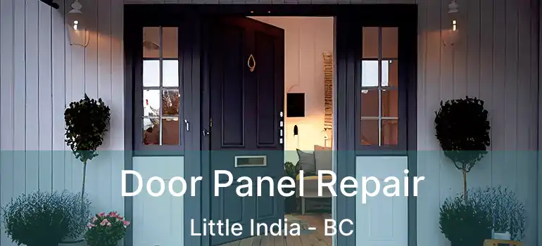  Door Panel Repair Little India - BC