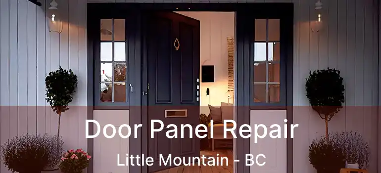  Door Panel Repair Little Mountain - BC