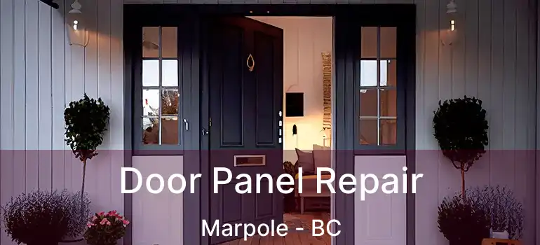  Door Panel Repair Marpole - BC