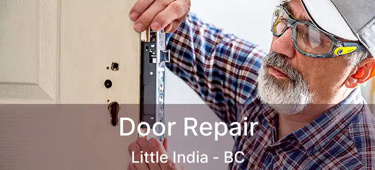  Door Repair Little India - BC