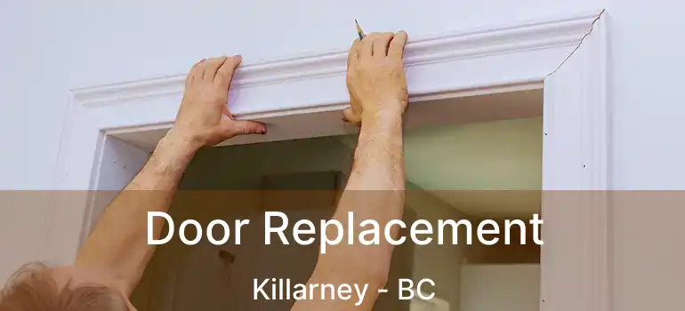  Door Replacement Killarney - BC