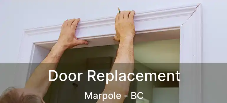  Door Replacement Marpole - BC