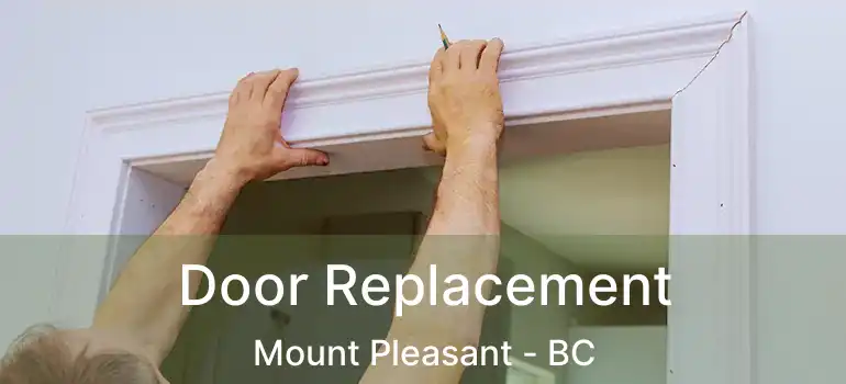  Door Replacement Mount Pleasant - BC