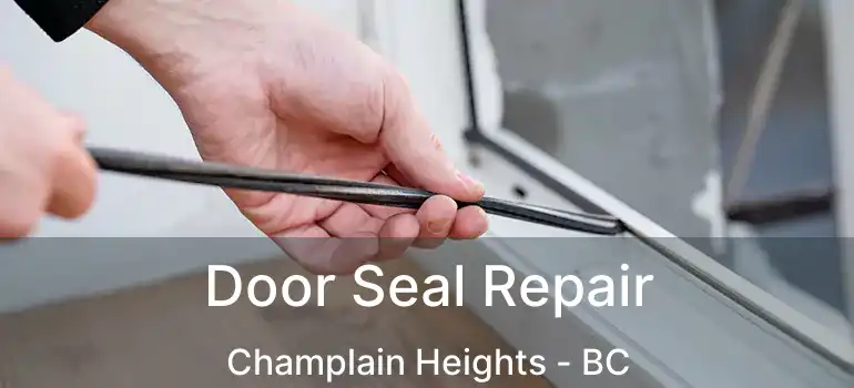  Door Seal Repair Champlain Heights - BC