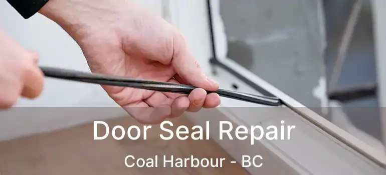  Door Seal Repair Coal Harbour - BC