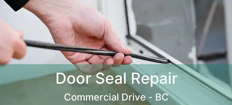  Door Seal Repair Commercial Drive - BC