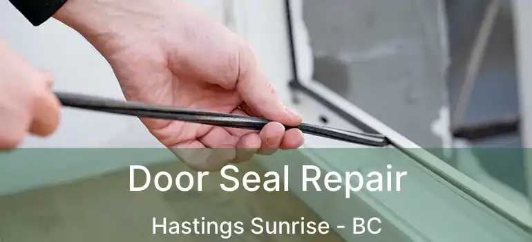  Door Seal Repair Hastings Sunrise - BC