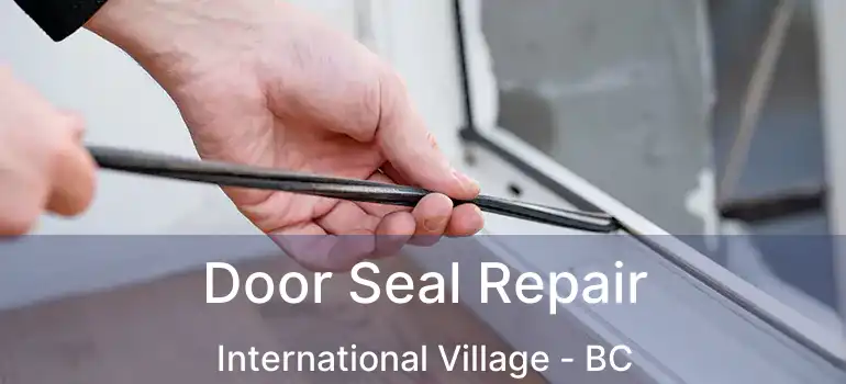  Door Seal Repair International Village - BC