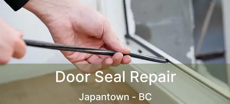  Door Seal Repair Japantown - BC