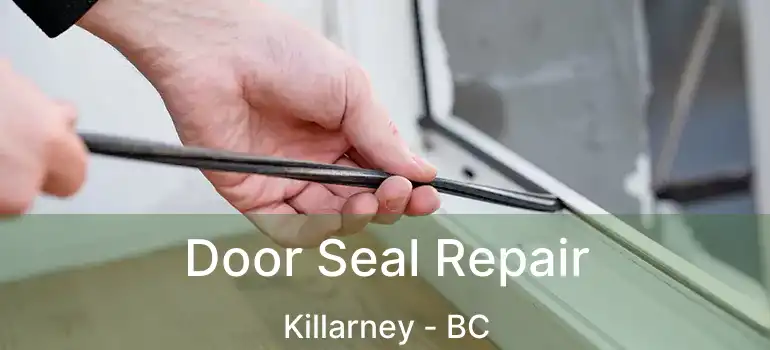  Door Seal Repair Killarney - BC