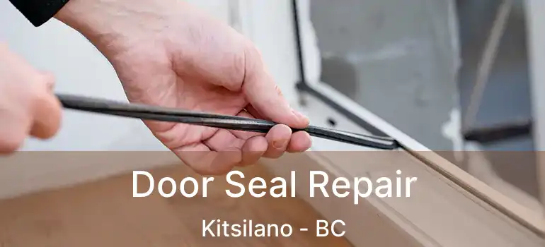  Door Seal Repair Kitsilano - BC