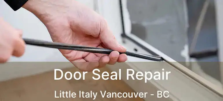  Door Seal Repair Little Italy Vancouver - BC