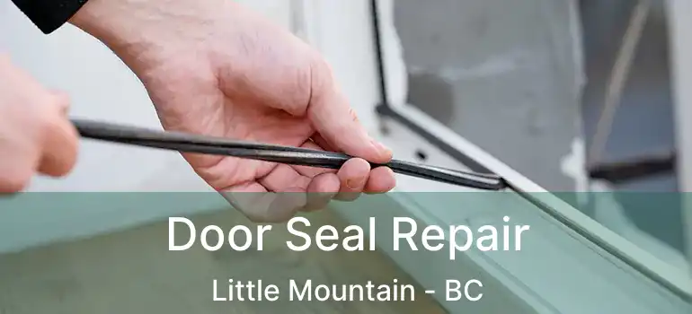  Door Seal Repair Little Mountain - BC
