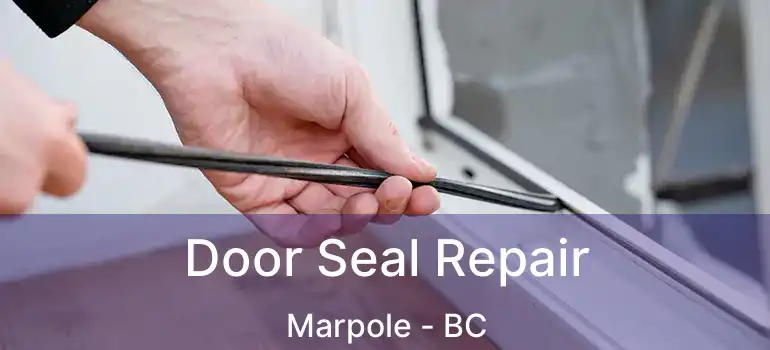  Door Seal Repair Marpole - BC