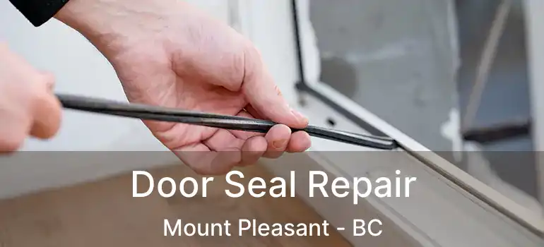  Door Seal Repair Mount Pleasant - BC