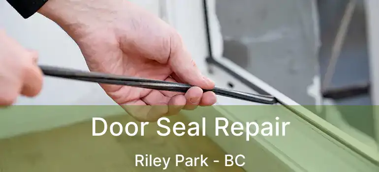  Door Seal Repair Riley Park - BC