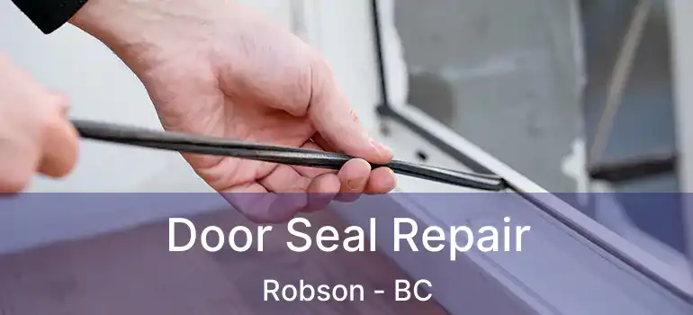  Door Seal Repair Robson - BC