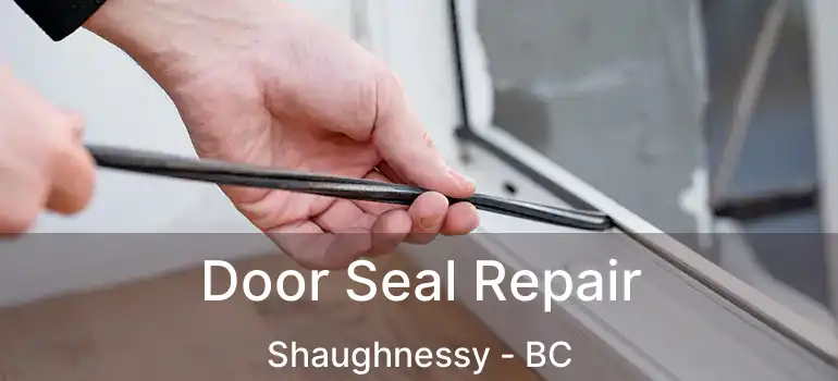  Door Seal Repair Shaughnessy - BC