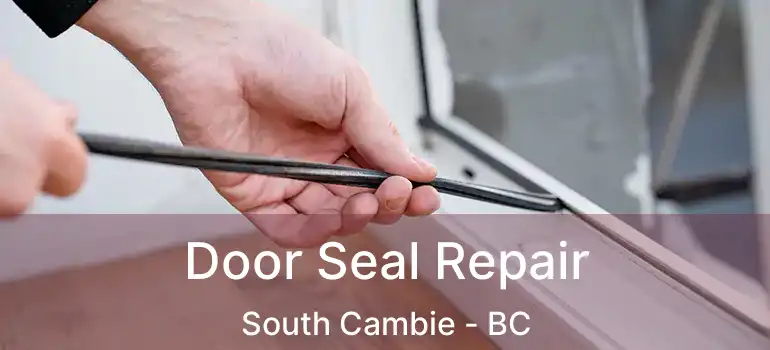  Door Seal Repair South Cambie - BC