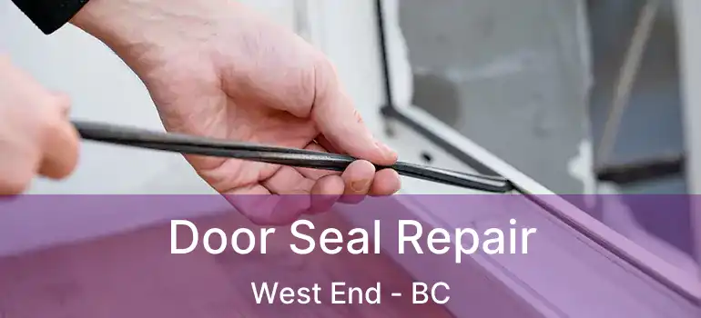  Door Seal Repair West End - BC