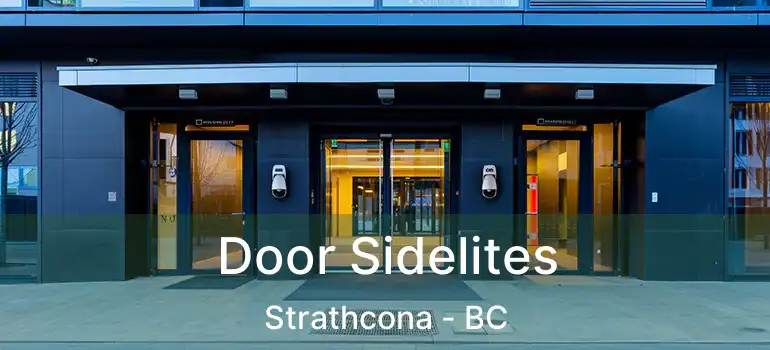  Door Sidelites Strathcona - BC
