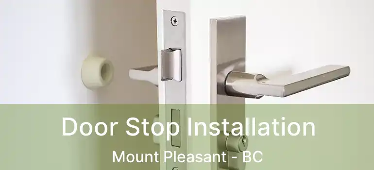  Door Stop Installation Mount Pleasant - BC