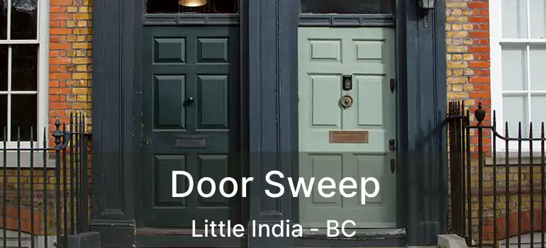  Door Sweep Little India - BC