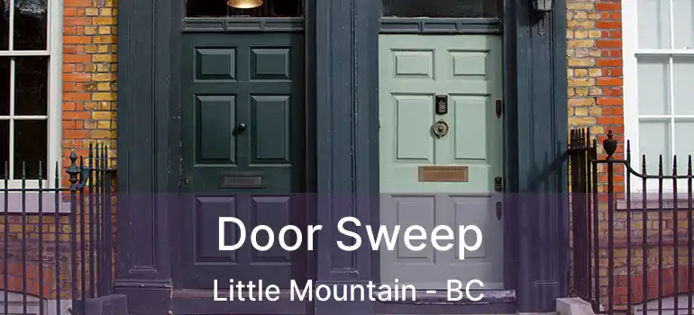  Door Sweep Little Mountain - BC