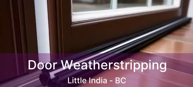  Door Weatherstripping Little India - BC
