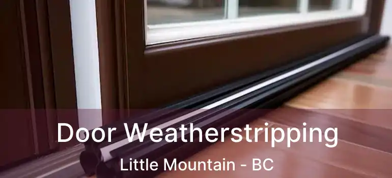  Door Weatherstripping Little Mountain - BC