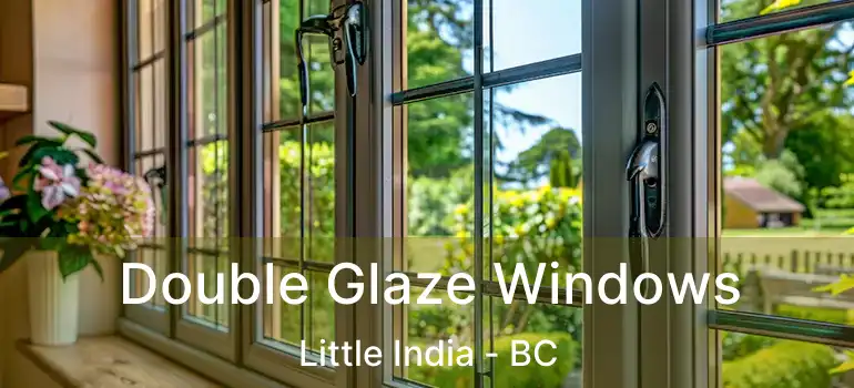  Double Glaze Windows Little India - BC