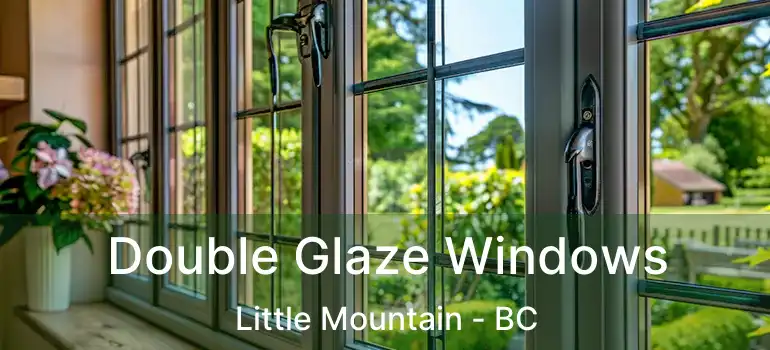  Double Glaze Windows Little Mountain - BC