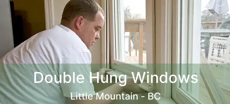  Double Hung Windows Little Mountain - BC