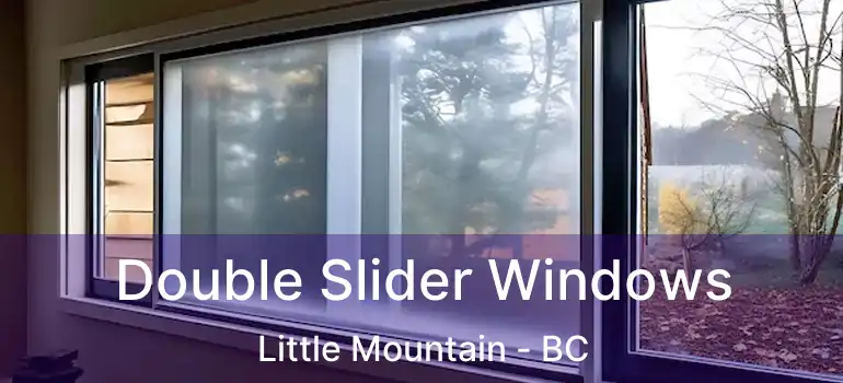  Double Slider Windows Little Mountain - BC