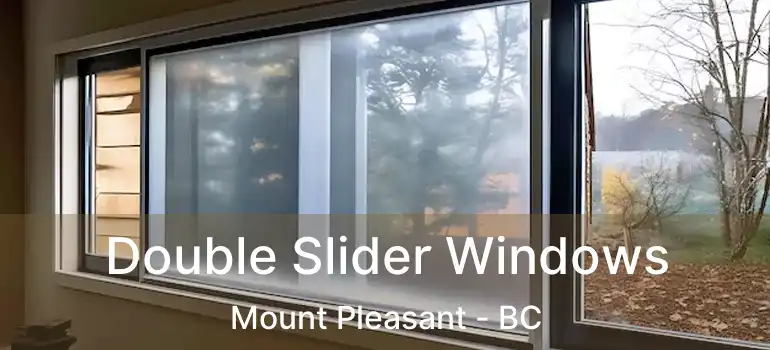  Double Slider Windows Mount Pleasant - BC