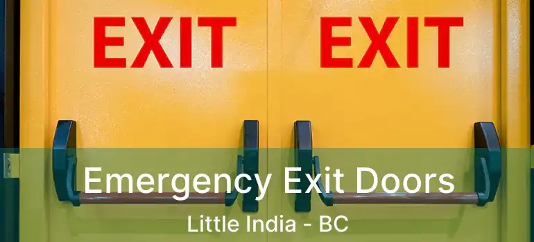  Emergency Exit Doors Little India - BC