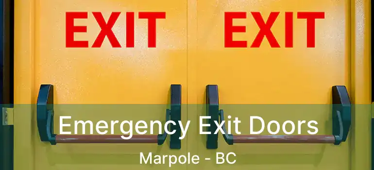  Emergency Exit Doors Marpole - BC
